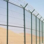 WhatsApp Image 2026-02-05 at 3.54.35 PM (1)